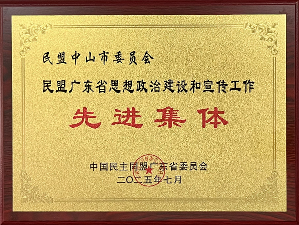 202507 民盟省委 思政宣传先进进集体 .png